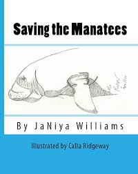 saving the manatees pic
