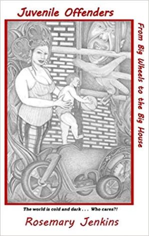 Juvenile Offender's HB cover